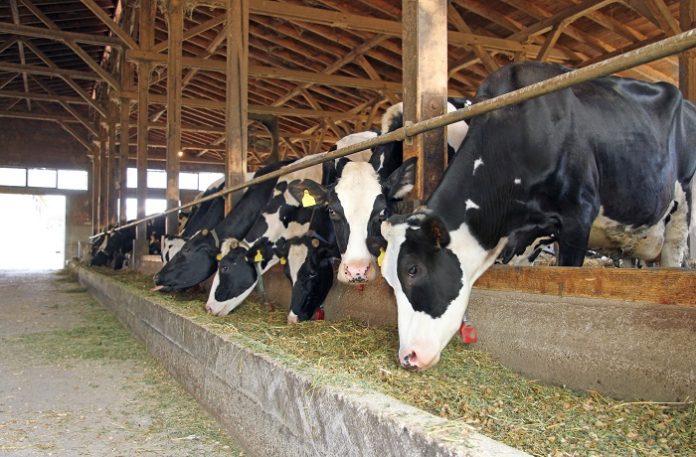 ΣΤΑΒΛΙΚΕΣ ΕΓΚΑΤΑΣΤΑΣΕΙΣ – Επανάσταση στην κτηνοτροφία το ν/σ για τη νομιμοποίησή τους